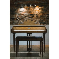 Wurlitzer 270 Butterfly With brand new French Polish finish