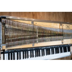 Rhodes MKV - Like New - Time Machine
