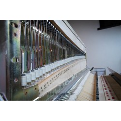 Rhodes MKV - Like New - Time Machine