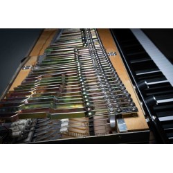 Rhodes MKV - Like New - Time Machine