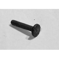 Wurlitzer 200A   Flower Head Speaker Screws - set of four
